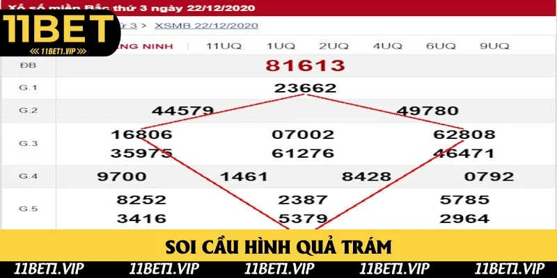 Dùng chiến lược soi cầu hình quả trám phổ thông Dùng chiến lược soi cầu hình quả trám phổ thông